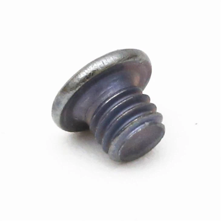 Phillip Stainless Steel Galvanized Tiny Screw